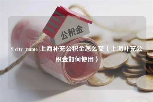 临夏上海补充公积金怎么交（上海补充公积金如何使用）